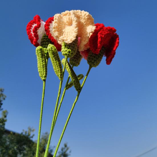 Knitted Carnation Hand-made Flower with Wool Hand Crocheting Artificial Packing Bag Home Decor