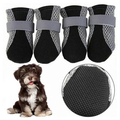 Vêtements et chaussures – Chaussures pour chien