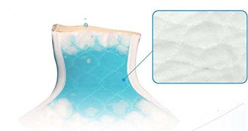 PROIDEA Pelvic Floor Muscle Support Shorts Molequitto [LL]