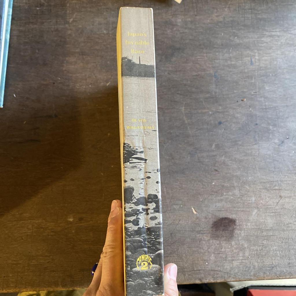 [USED] Japan's Invisible Race