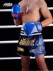 Box a bojová umění – Rukavice pro box a bojová umění
