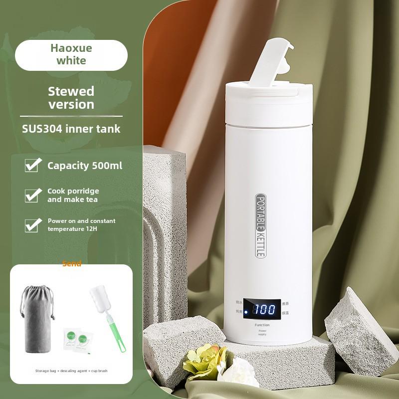 Mini Portable Electric Kettle with Thermostat - 110V US Standard, Ideal for Travel and Office