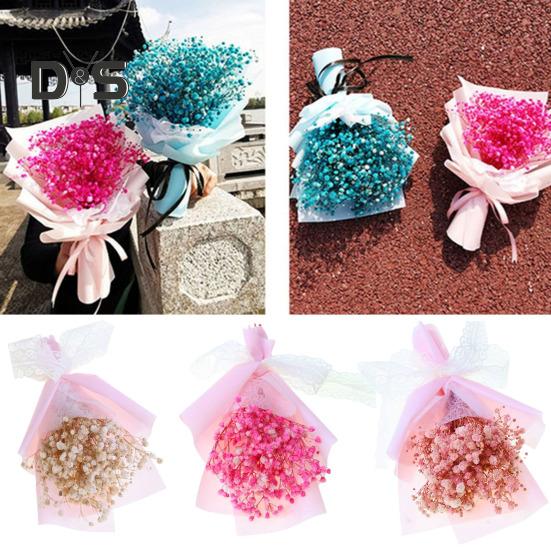 HOW-E Gypsophila Romantická přírodní sušená květina Babysbreath květinová dekorace