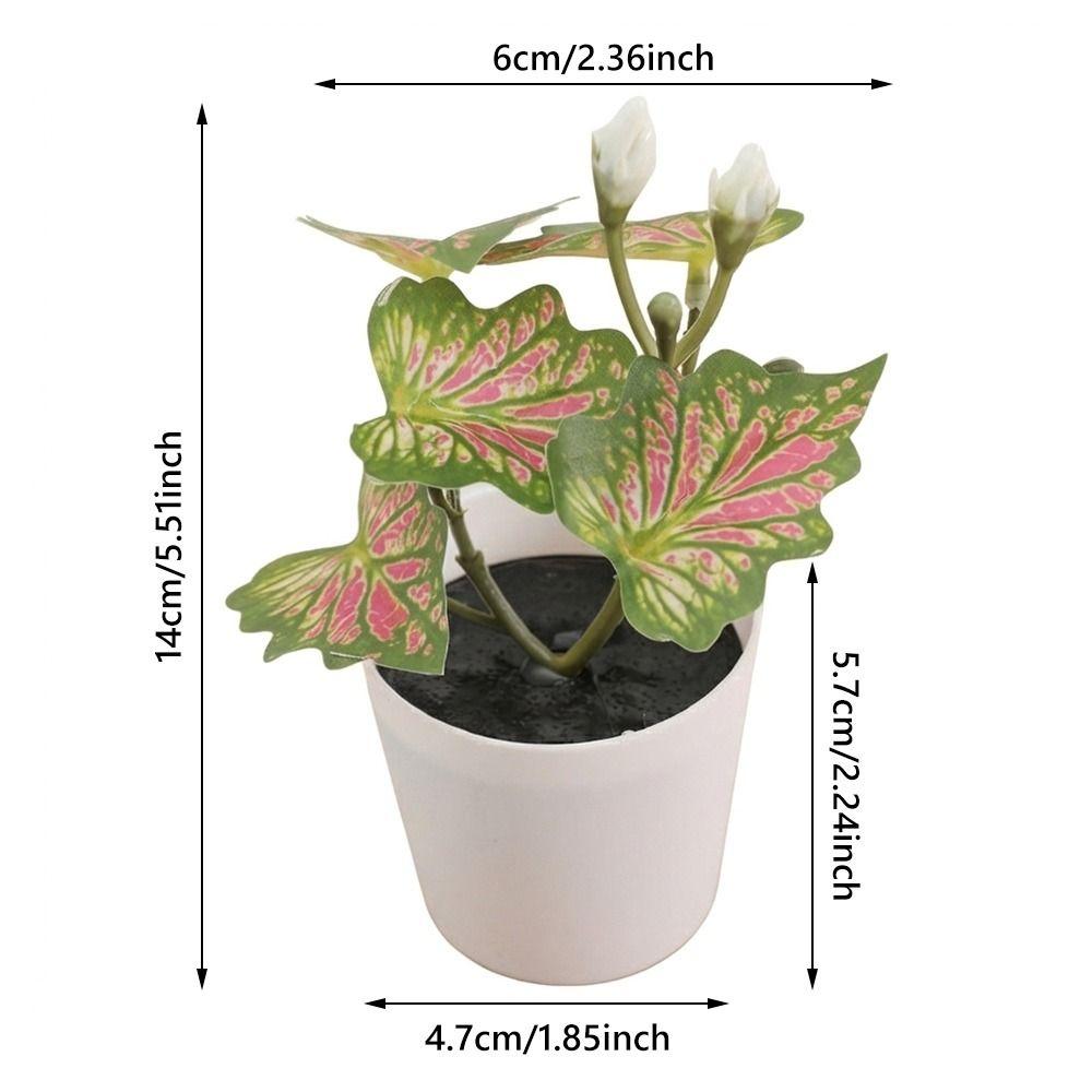 Green Green Plant Potted Greenery Desktop Ornament High Quality Artificial Grass Bonsai  Windowsill