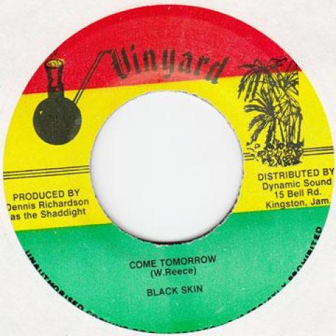 

7inch Record BLACK SKIN - Come Tomorrow Vinyard 1992 Jamaica Reggae, Ska & Dub