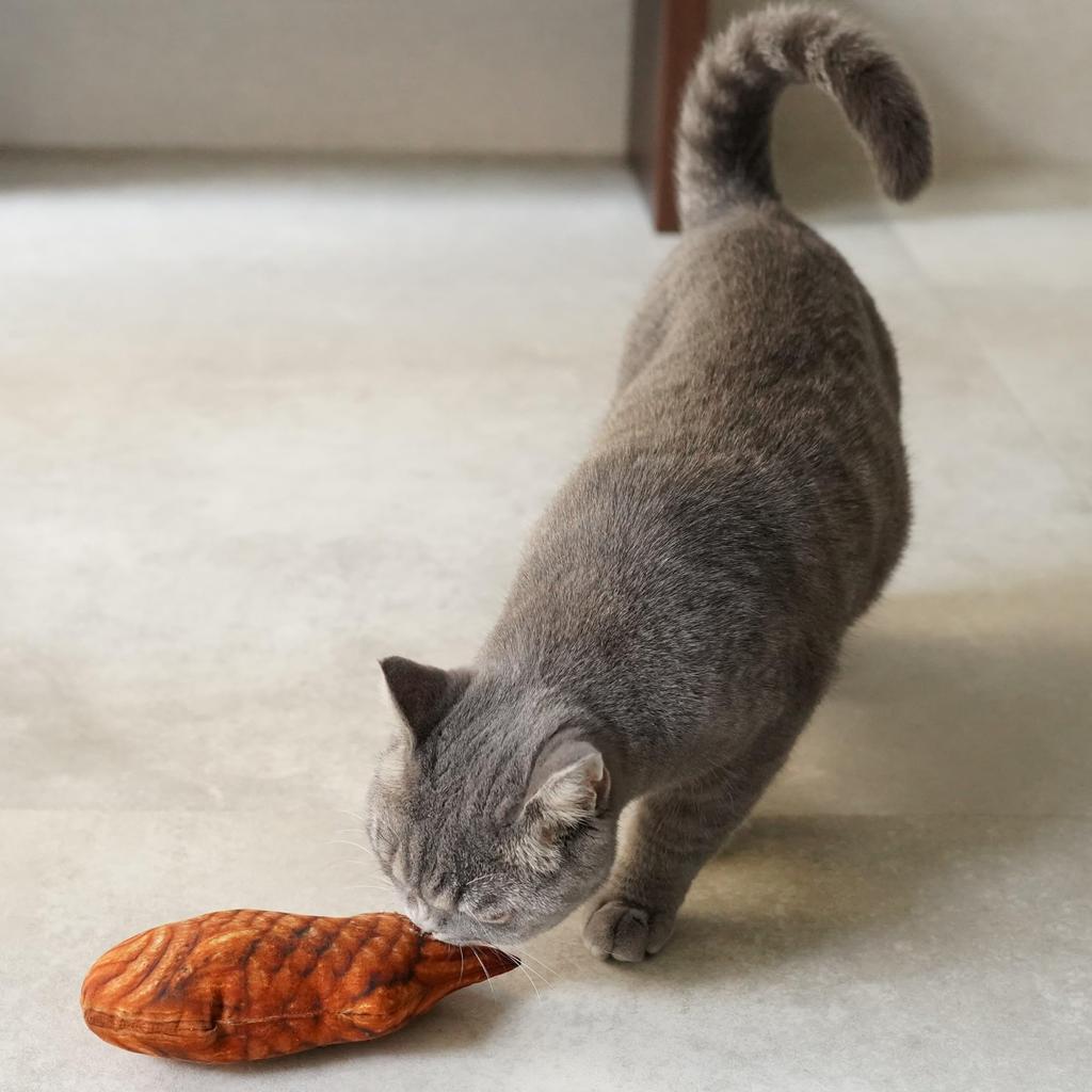 Neko no Tomosha Taiyaki Plyschleksak, Sparkare, Kattmynta, Stresslindring, Tuggande, Säker, Tillverkad i Japan, Inhemskt Sydd, Realistisk Form, Handgjord, Gåva