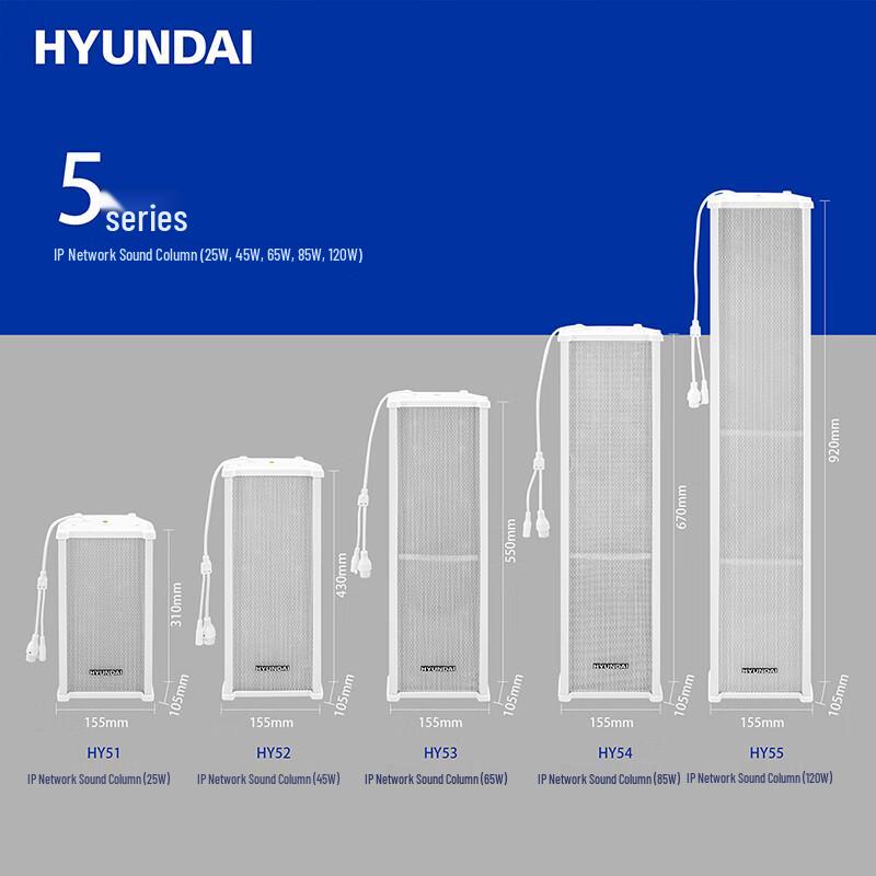 Hyundai IP Network Broadcasting Audio Systems CN plug (adapter included)