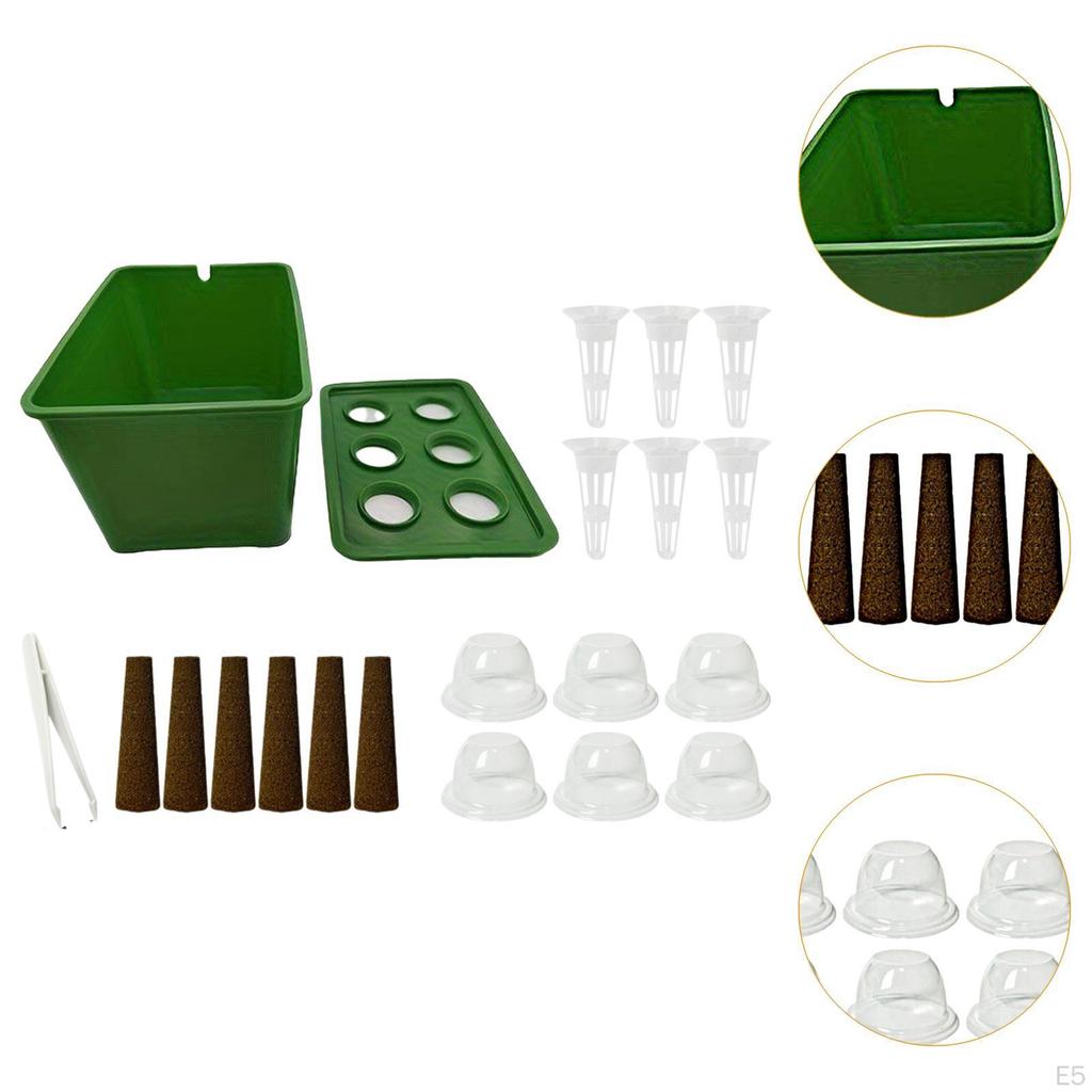 Hydroponic Growing System Kit, Indoor Gardening System, Planter for Market, Hotel,