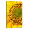 GLASS PLATE BOARD PANEL TABLETOP 30x52 FLOWER