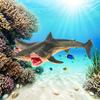 Three-Headed Shark & Megalodon Marine Life Model Toy Ornament