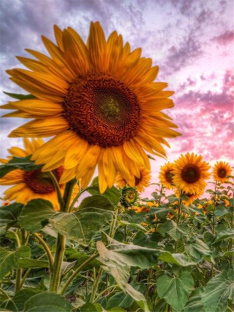 5D DIY Diamond Painting Sunflower Blackboard Cross Stitch New Arrival Diamond Embroidery Flower Handicraft Home Decor