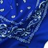 Trifong bandana blue paisley bandana adult stylish 100% cotton cashew pattern bandana men's unisex light blue 55cm x 55cm KC-D