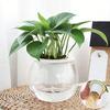 Self Watering Plant Pot Flower Pot with Transparent Reservoir Clear Self Watering Planter for Indoor Plants Flowers African Violets