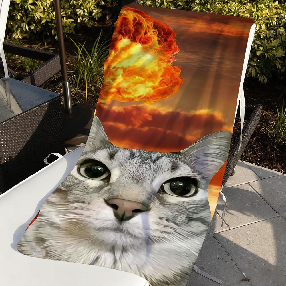 Funny Cat Meme Zazu Towel Sports Quick Dry Travel Camping Gear Sandproof Soft Light Large Beach Towel