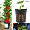 10Pcs Plastic Mesh Plant Basket for Hydroponic Plants,  , Breathable, Efficient Growth, Plant Marking with Grooved Mesh, Differentiation