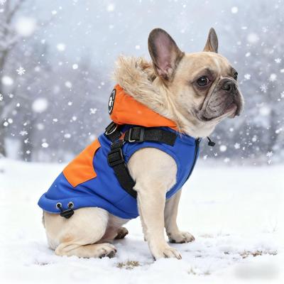 Herbst/Winter Warme Baumwollweste für kleine Hunde und Katzen - Französische Bulldogge Windjacke
