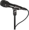 Audio-Technica AT2010 Handheld Condenser Microphone for Video Streaming, Home Recording, Podcasts, Live Commentary, and DTM (Black)