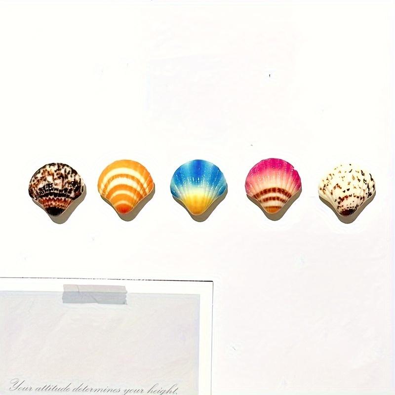 5pcs, Cute Seashell Fridge Magnets, Seaside Seashell Fridge Magnets, Strong Decorative Magnetic Stickers for Kitchen