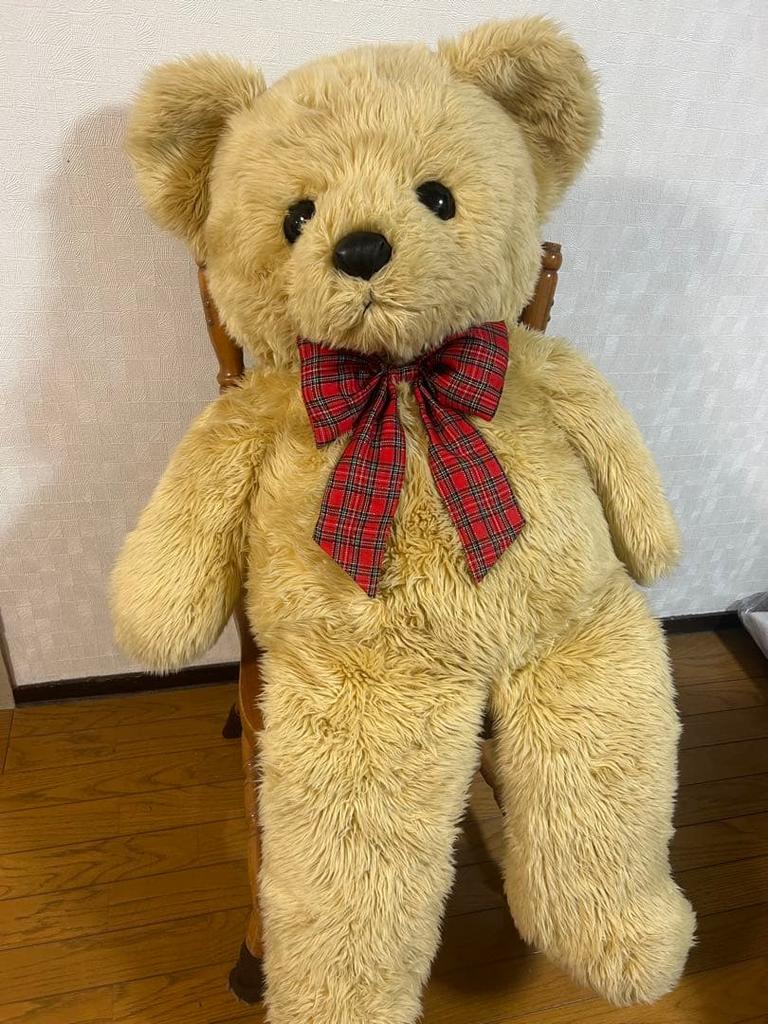 [USED] Large teddy bear plush toy