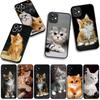 Cat Meow Phone Cover Case for Samsung Galaxy A36 A17 A26 A07 A35 A54 A53 A13 A33 A34 S8 S9 S20 S21 FE S10 Plus Casing