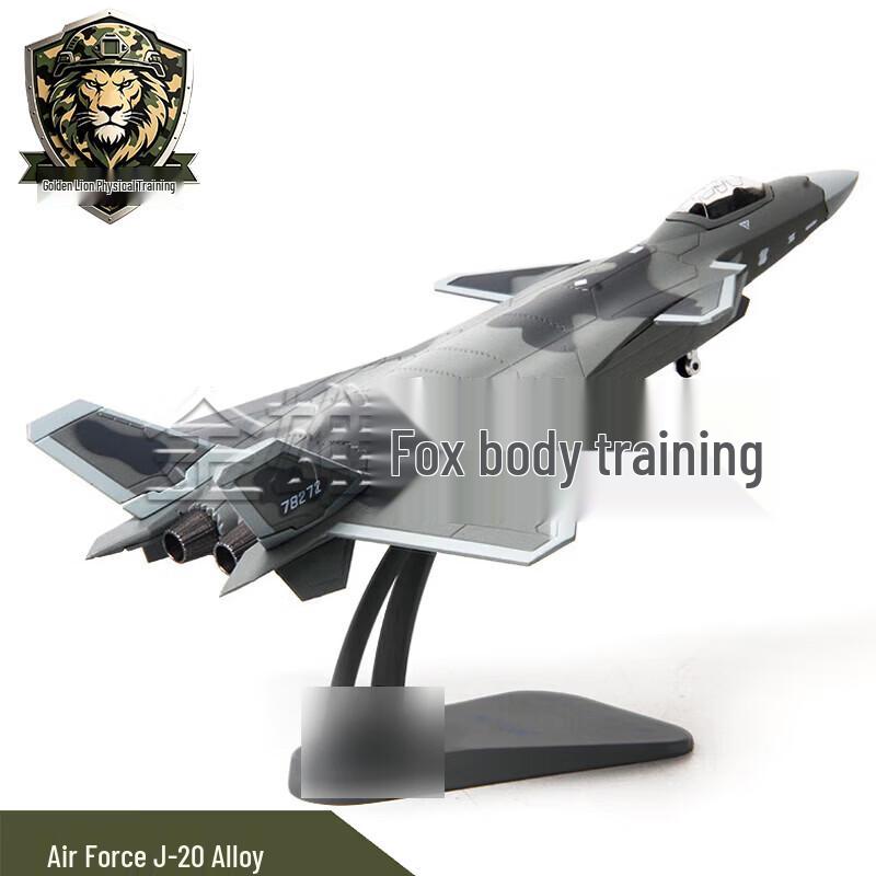 J-20 Fighter Jet Alloy Model