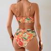 2025 European & American Sexy Print Split Bikini Set Women's Swimwear