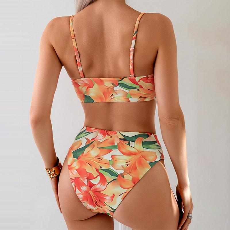 2025 European & American Sexy Print Split Bikini Set Women's Swimwear