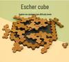 Escher Cube Level 10 Wooden Puzzle: High IQ Brain-Teaser