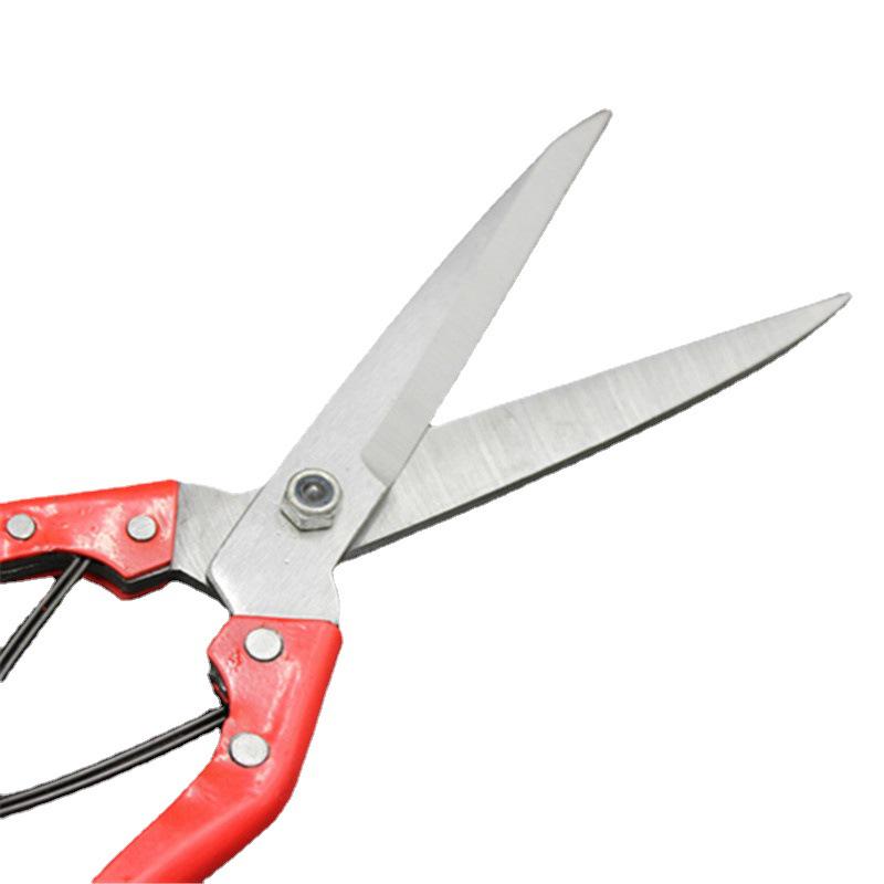Chuanma No. 3 Multi-Purpose Spring Shears: For Sheep, Goats, Horses, and Rabbits