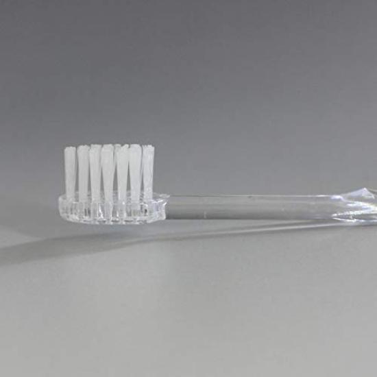 Clear Handle Toothbrush with Toothpaste Powder M Bag Individually Domestically Sanitary Supplies "X24" (3g), (100 Pieces), Wrapped, Toothbrush,