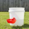 Automatic Poultry Drinking Bowls Square Enlarged Thicken Drinking Bowl for Cat Dog Chicken Duck Thread chicken feeder