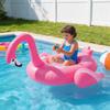Baby Water Ride On Toy With Thick Plastic For Infant Play And Development