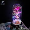 Rose Flower Preserved in Glass Dome with Night Light - Mother's Day or Birthday Gift Ornament