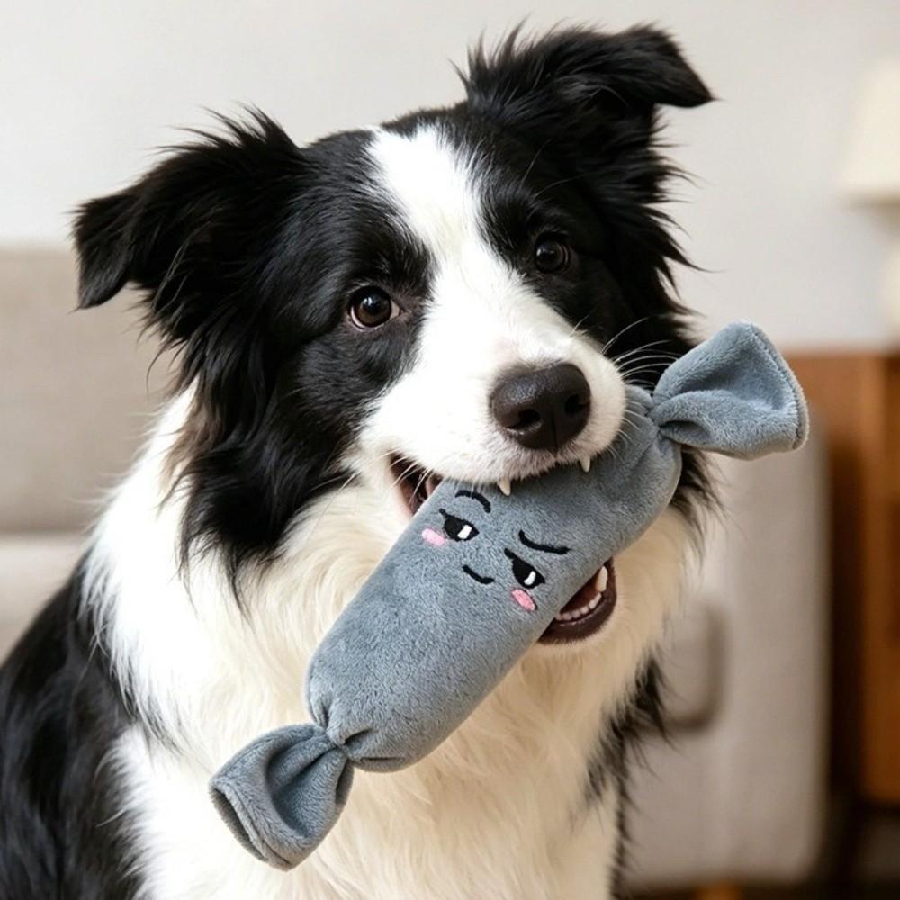 Soft Plush Dog Plush Chew Toy Chew-Resistant Pet Training Toy  For Small Large Dogs