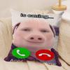 John Pork Is Calling Funny Cushion Cover Silky Short Plush DoubleSided Printed Pillow Case for Sofa All Seasons Home Decor Gift