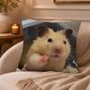 Funny Hamster Meme Cute Cushion Cover Anti-dustmite Pillowcase Invisible Zipper Silky Short Plush Sofa Cushion Cover