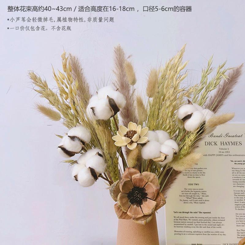 

Dried flower bouquet real flower ins air-dried natural decorative ornament living room decoration flower arrangement reed cotton light luxury premium