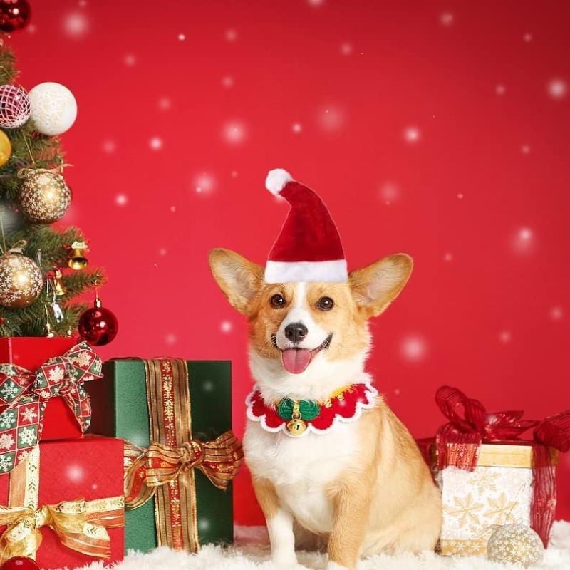 30PCS Christmas Pet Hat Dog Christmas Small Hat Cosplay Props Hat Small Dog Pet Costume New Year Party Supplies Pet Supplies