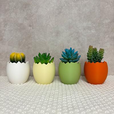 Decoración para el hogar
 – Macetas decorativas