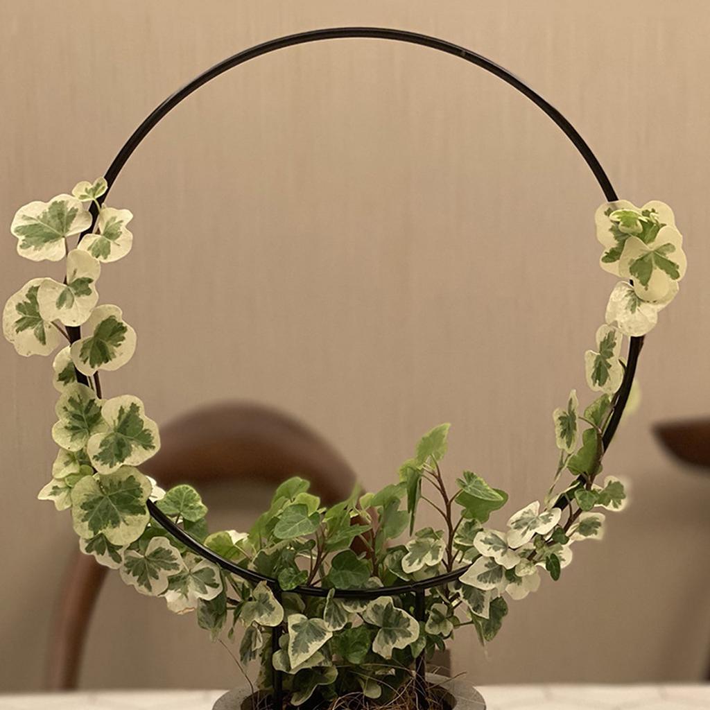 Garden Trellis Plant Iron Climbing Plant Support With Black Rust Proof Coating For Indoor Flower Vine Trellis For Decoration