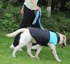 Dog Clothes Autumn and Winter Thickened Warm Dog Clothes Windproof Dog Jacket Cotton Vest Pet Clothes