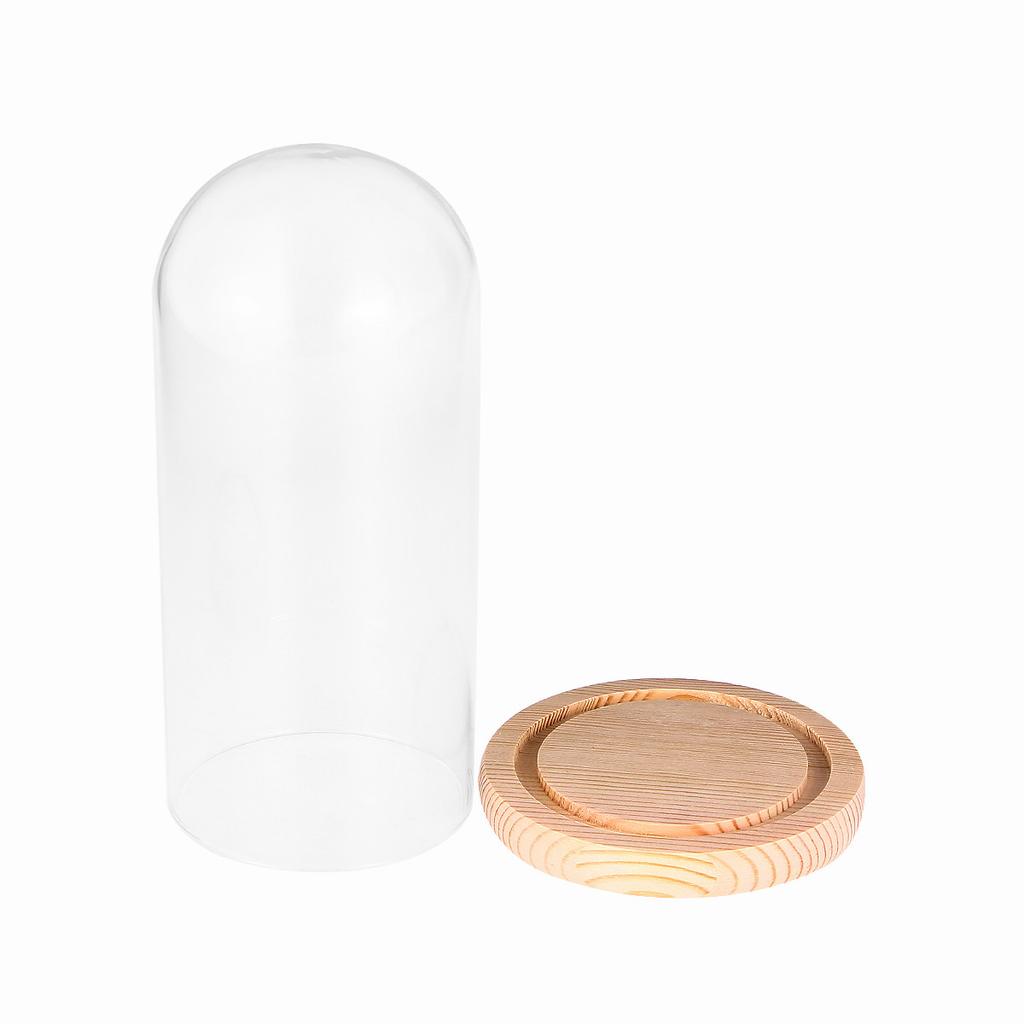 Micro Landscape Flower Glass Cover Eternal Transparent Dustproof Glass Dome 9x15cm Wooden Base DIY Valentine Gift