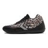 All Star BB EVO