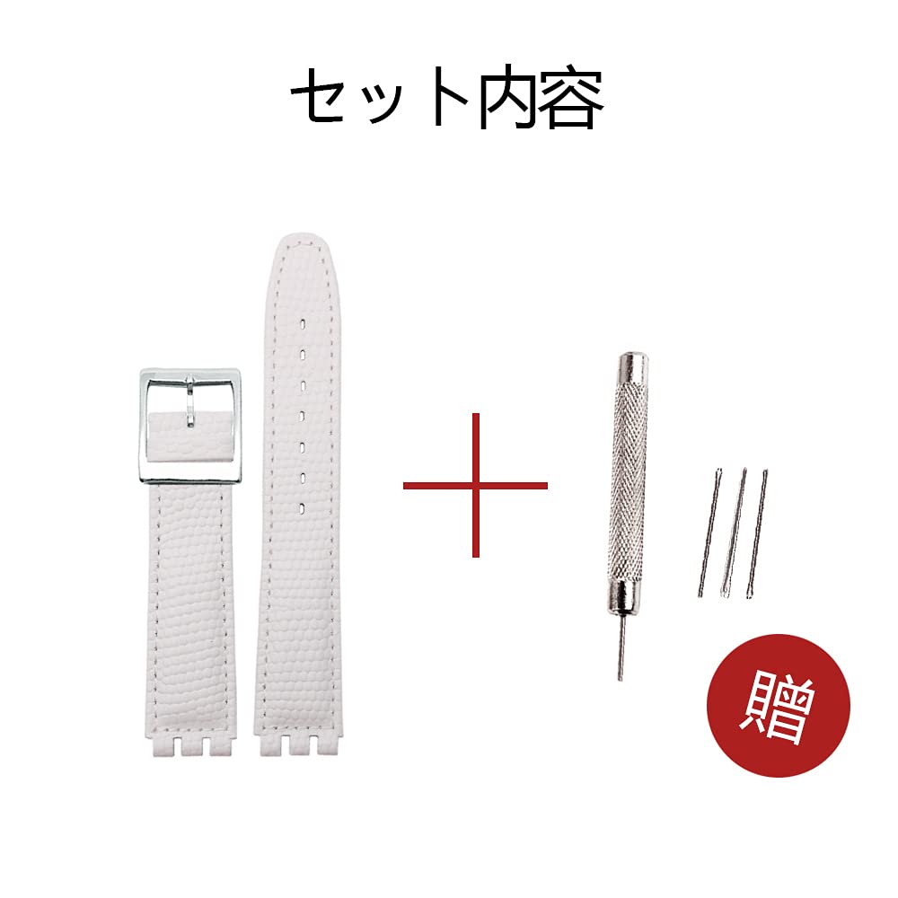 ZHUOLEI Swatch Watch Includes 3 Spring Spring Bar and Box Strap, 17mm/19mm, White, Bars, Remover,