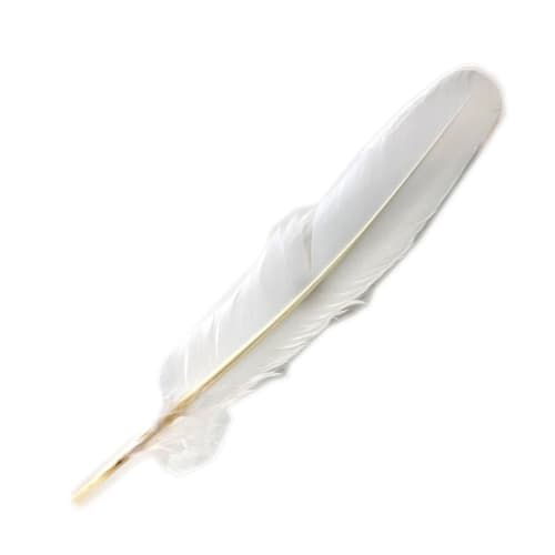 

Rondino Oboe/Double Reed Cleaning Blade, Large, K0042250