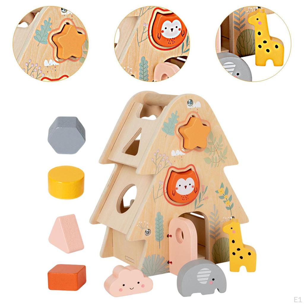 Shape Sorter Toy Color Recognition Fine Motor Skills Hands On Educational Classic Wooden