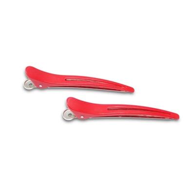Hair Clips (2 Pieces)