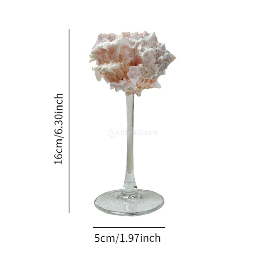 Conch Shell Champagne Glass Cup for Celebrations, Unique Drinkware for Adults Home Bar Wedding Favor Decoration Artistic Display