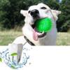 Retriever Large Dogs Dog Toys Puppy Chew Toys Hedgehog Ball Spikey Balls Interactive Toys Dog Balls