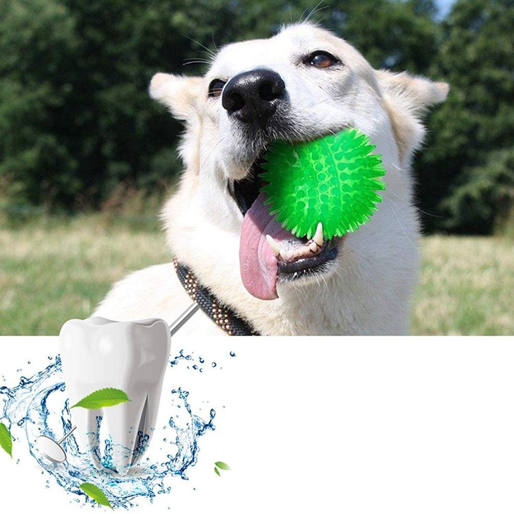 Retriever Large Dogs Dog Toys Puppy Chew Toys Hedgehog Ball Spikey Balls Interactive Toys Dog Balls